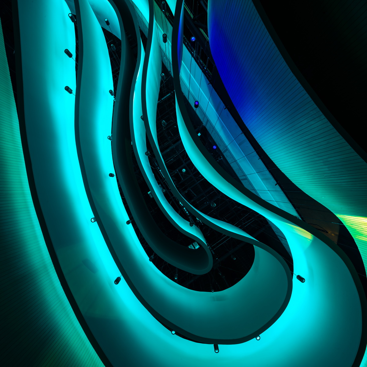CTWGMM_0005_resize